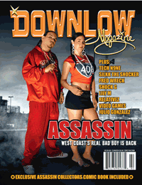 ASSASSIN DOWN LOW COVER